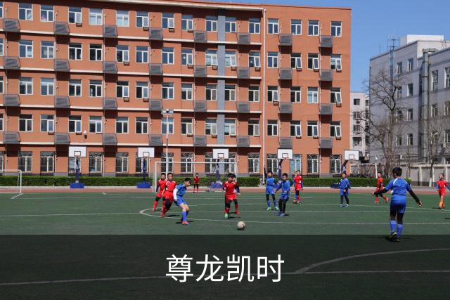 关于尊龙凯时展示图